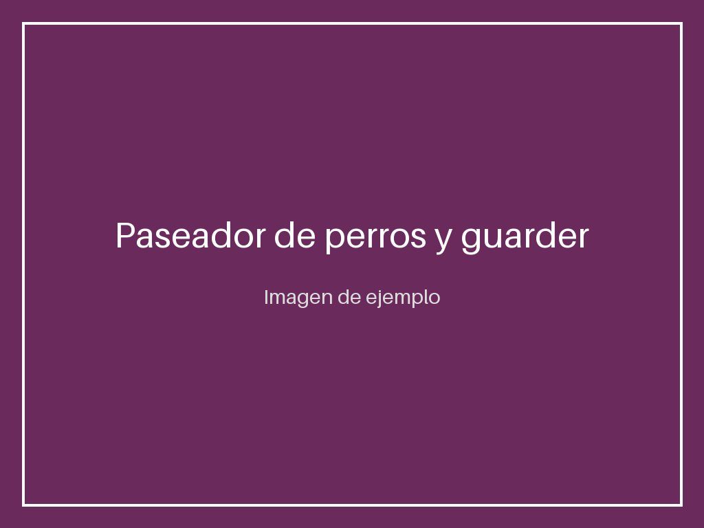 Paseador de perros y guardería canina de día